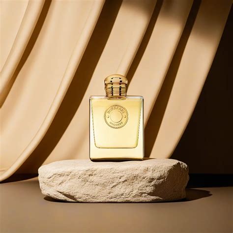 goddess burberry notes olfactives|Burberry goddess vanilla review.